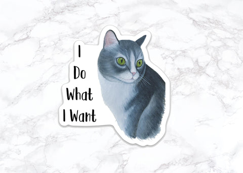 I do what I want, Funny Cat Sticker, Water Bottle Stickers, Laptop Stickers, Laptop Decals, Funny Stickers, tumbler decal